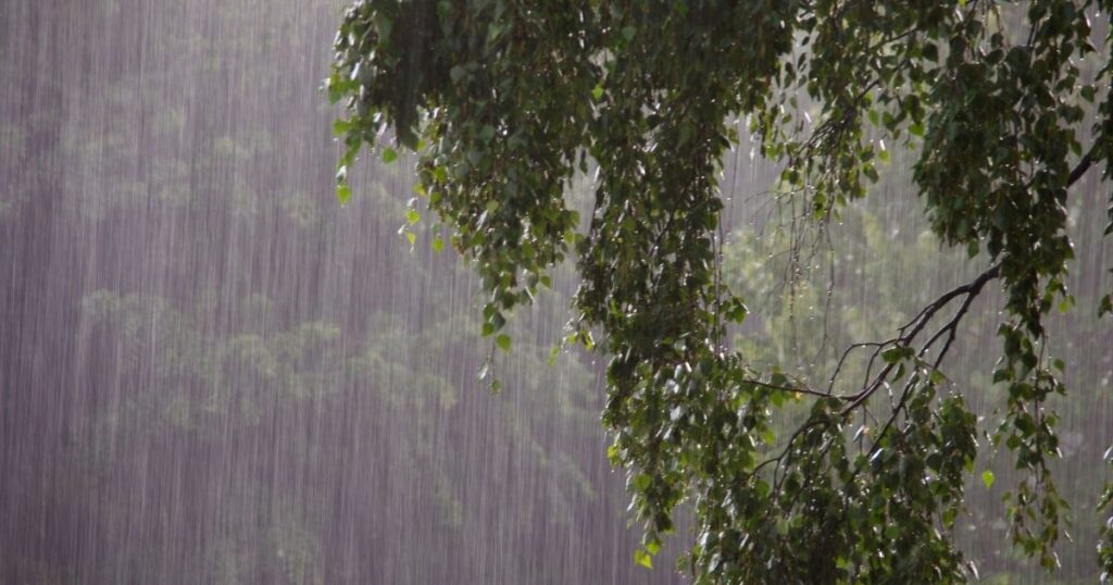 Barish Shayari 2 Lines