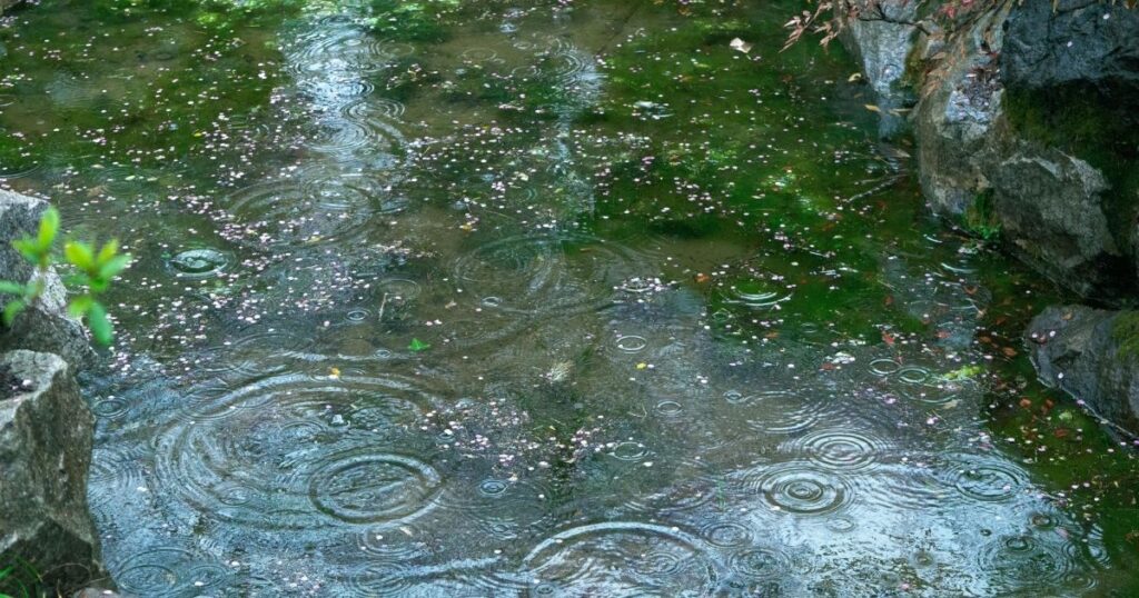Gulzar Barish Shayari