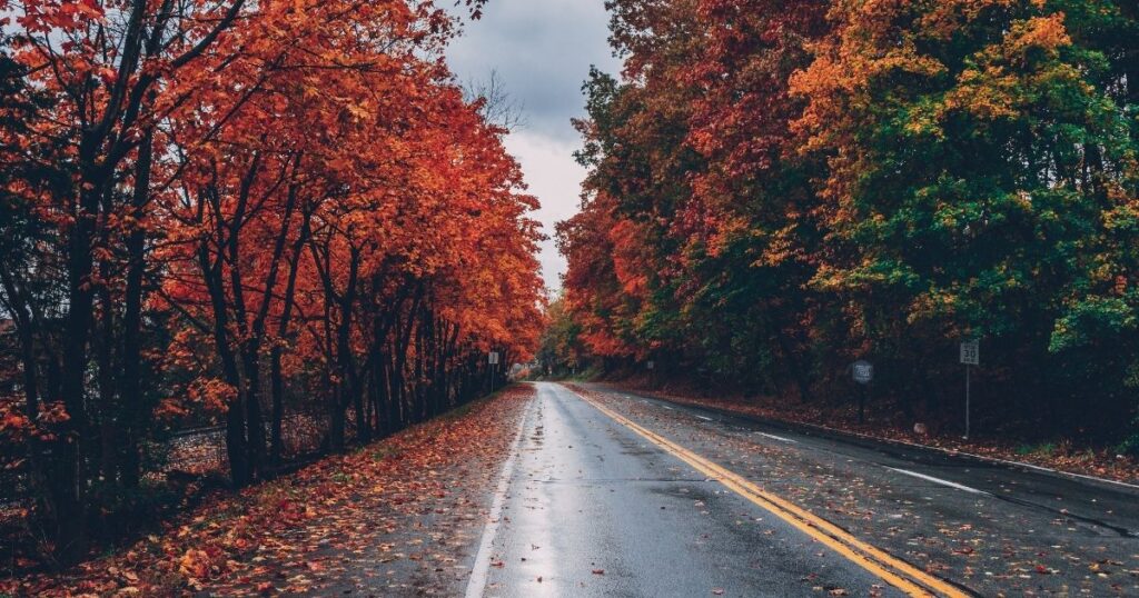 Husband Romantic Love Barish Shayari
