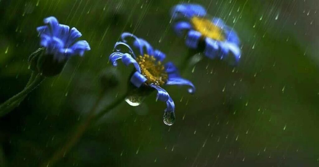 Romantic Barish Shayari For Girlfriend