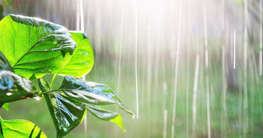 Thanda Mausam Halki Barish Shayari