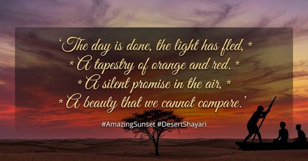 Amazing Sunset Shayari