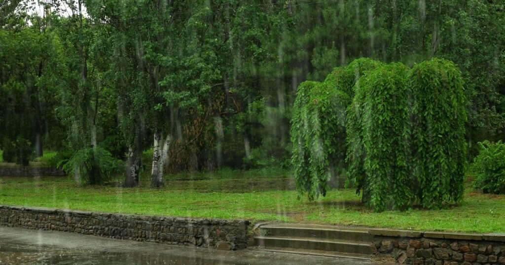 Barish Shayari Gulzar