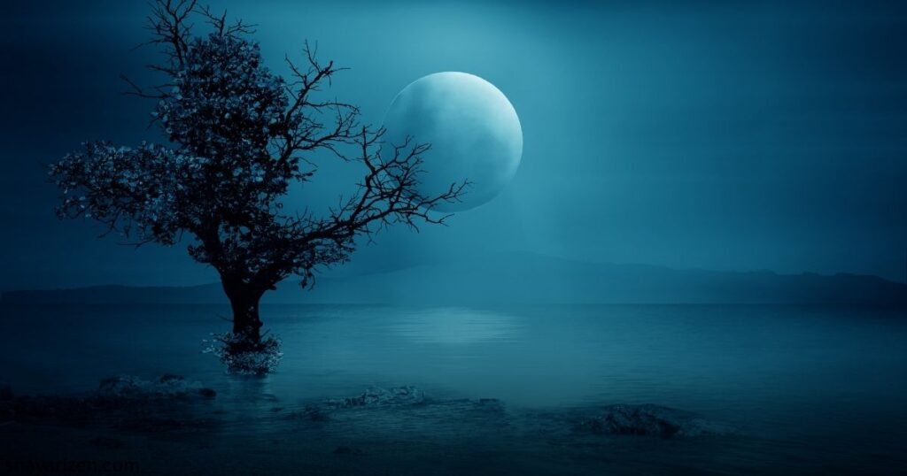 Beautiful Shayari Moon