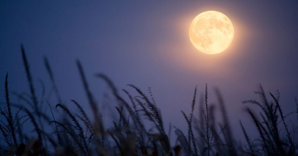 Chand Moon Shayari