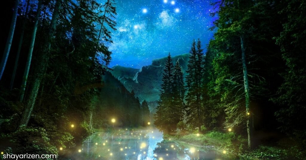 Char Din ki Chandni Fir Andheri Raat Shayari