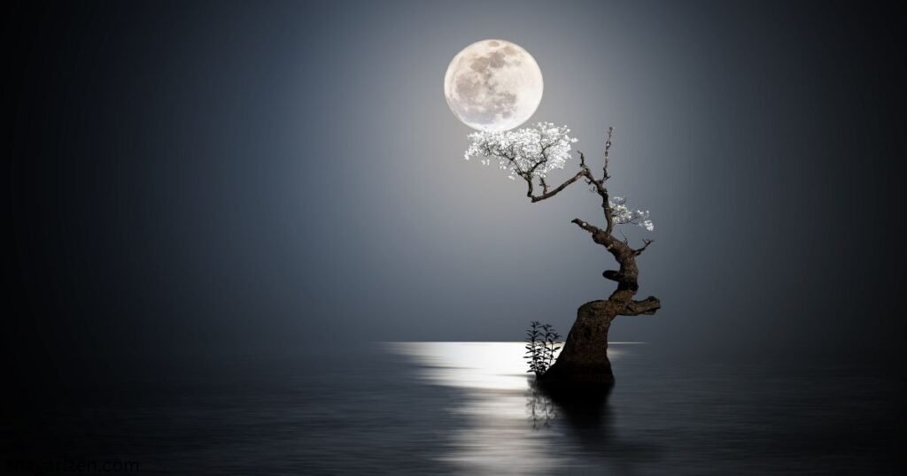 Half Moon Quotes In Hindi