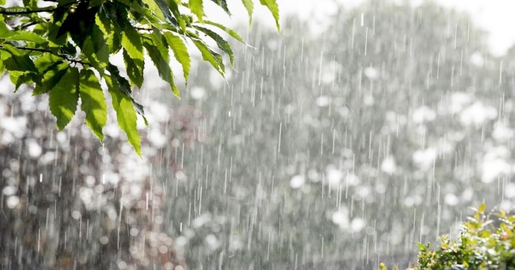 Husband Romantic Love Barish Shayari