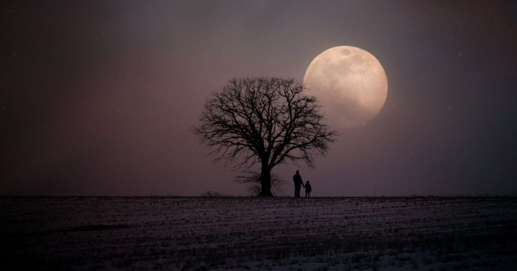 Love Moon Shayari