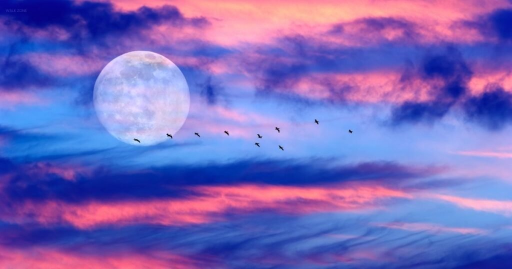 Moon Shayari In English