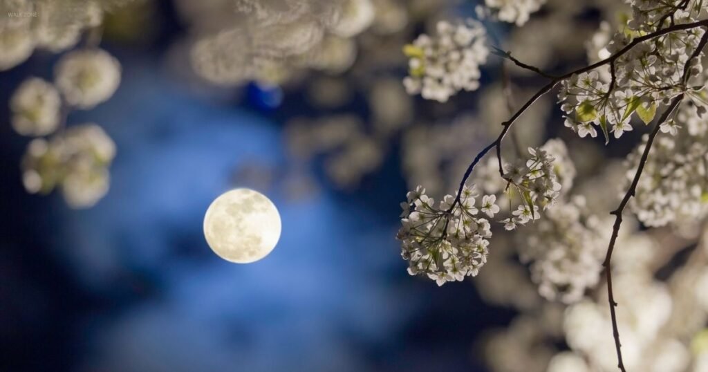 Moon Shayari In Punjabi