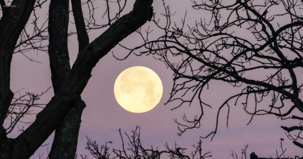 Moon Shayari Urdu