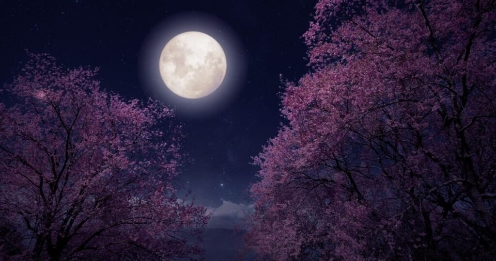 Chand Shayari Gulzar