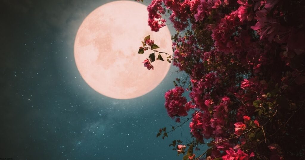 Chand Shayari In Hindi