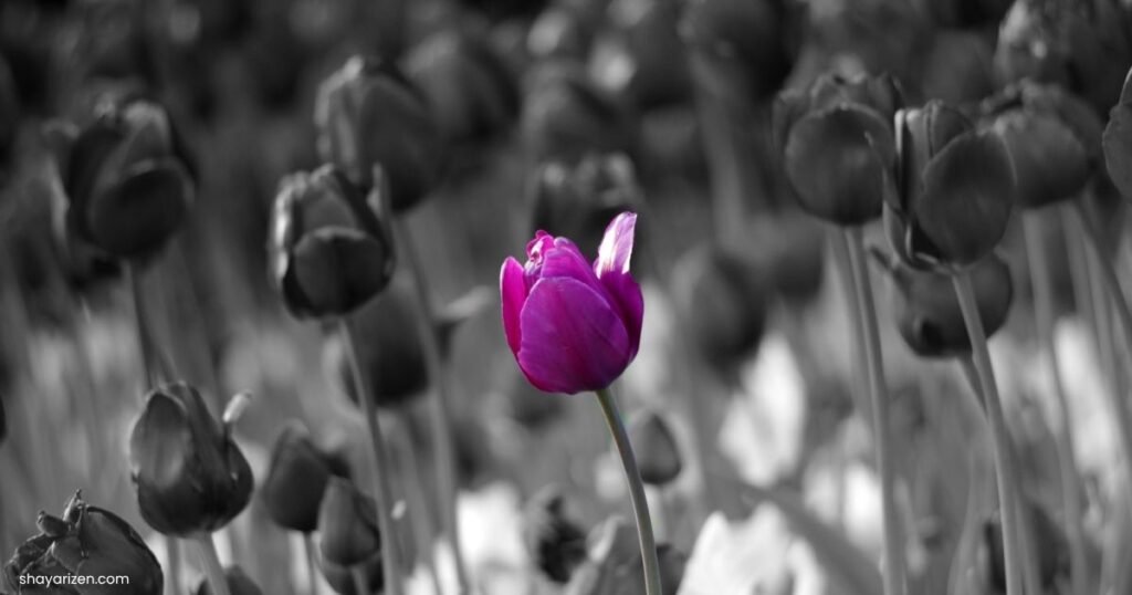 Feeling Alone Shayari Girl