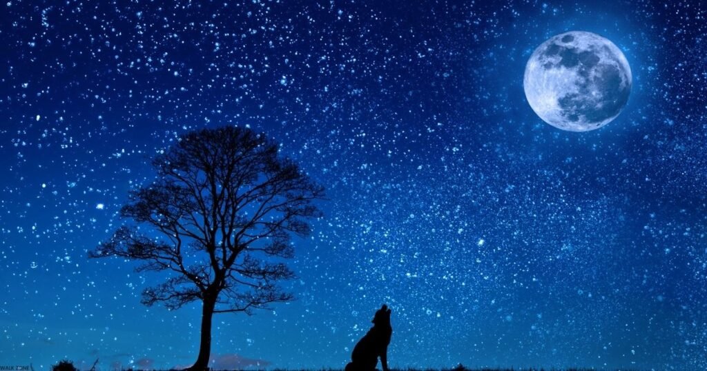 Gulzar 2 Line Chand Shayari