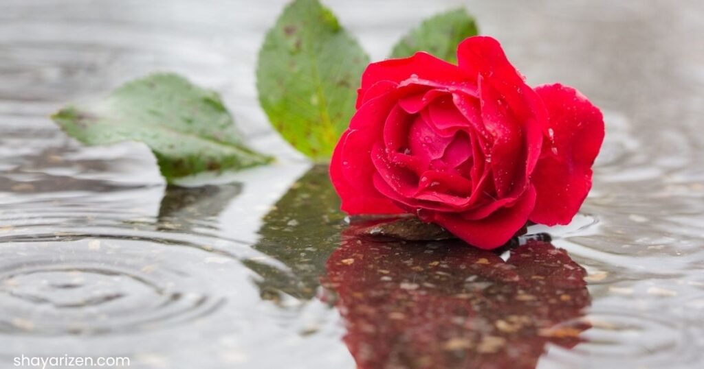 Mohabbat Ek Tarfa Pyar Shayari