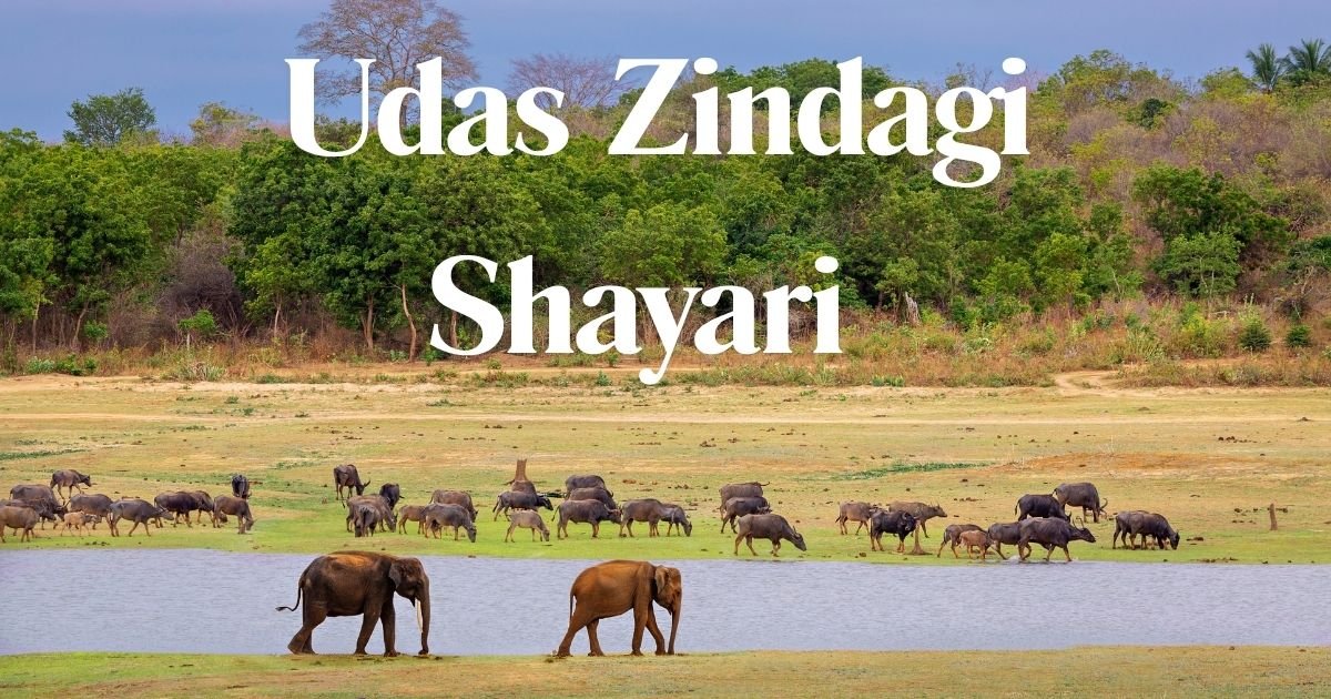 Udas Zindagi Shayari