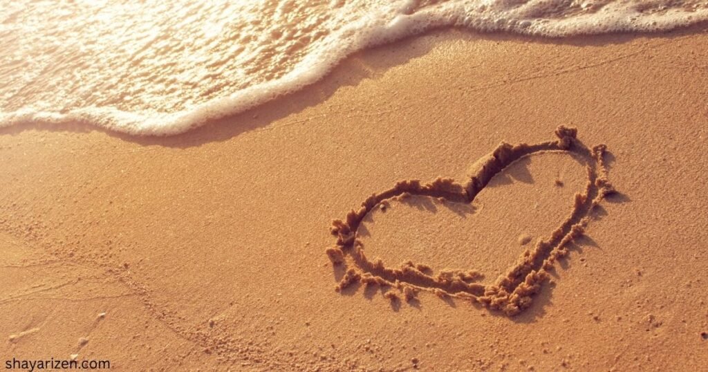 No Love Shayari 2 Line