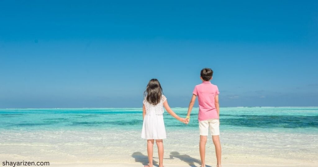 No Love Shayari 2 Line English