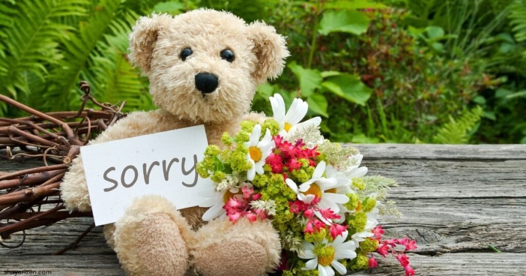 sorry shayari in english