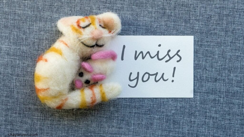 True Love Miss You Shayari